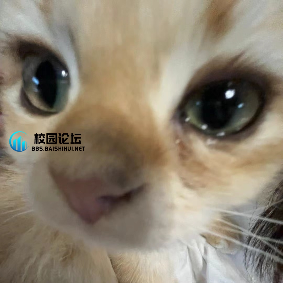 冬冬的头像 - 校园论坛