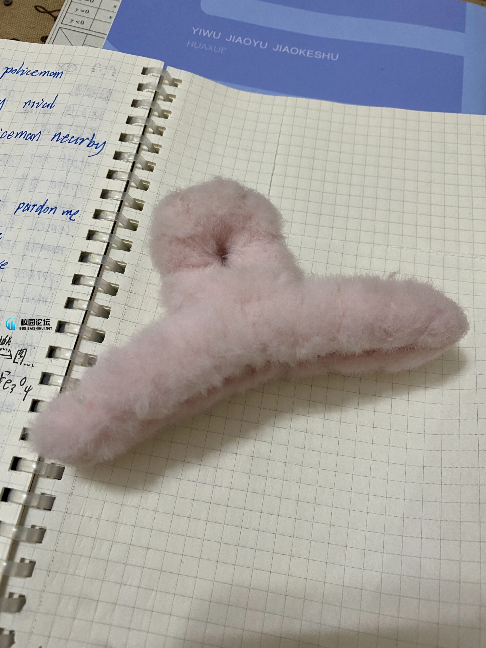 失物认领 - 校园论坛