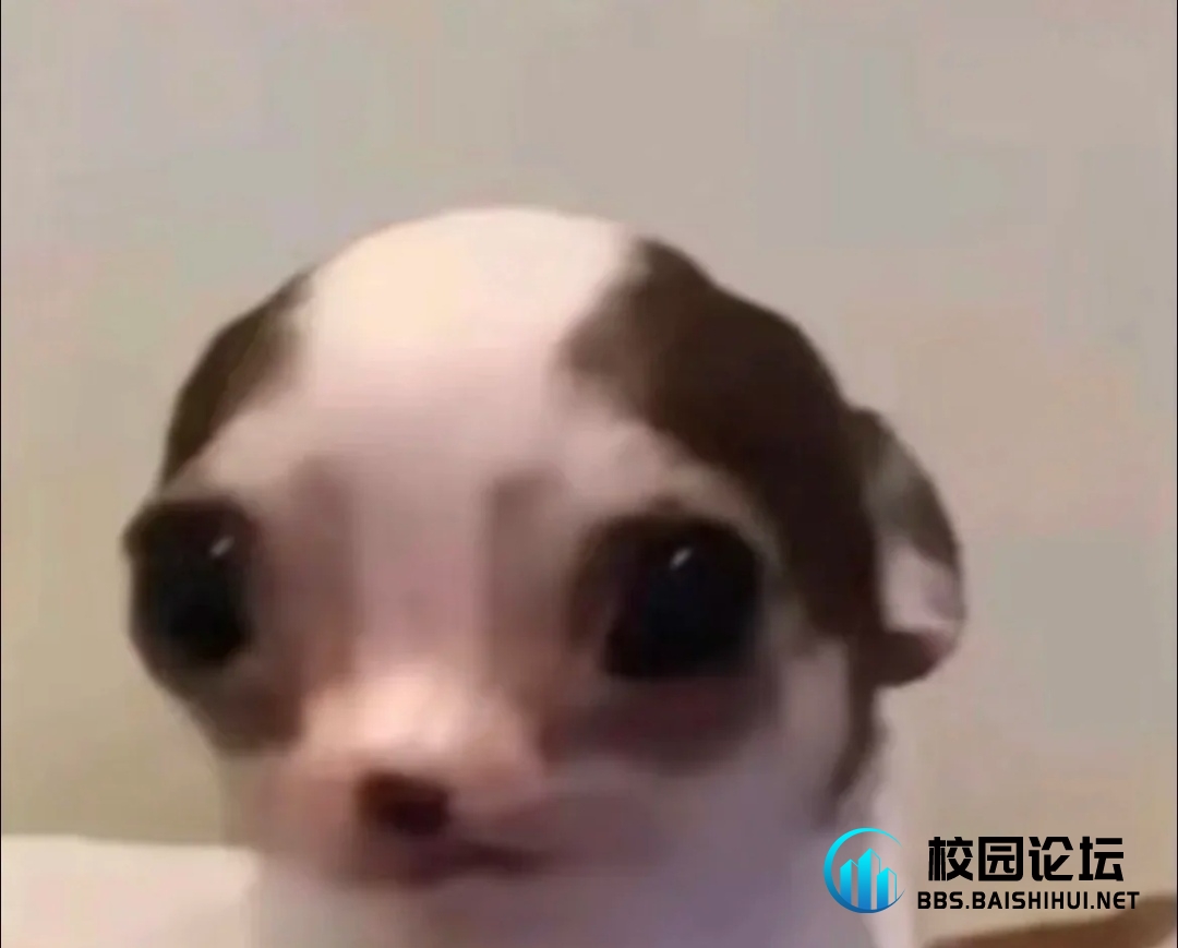 ^018_yebrry.的头像 - 校园论坛