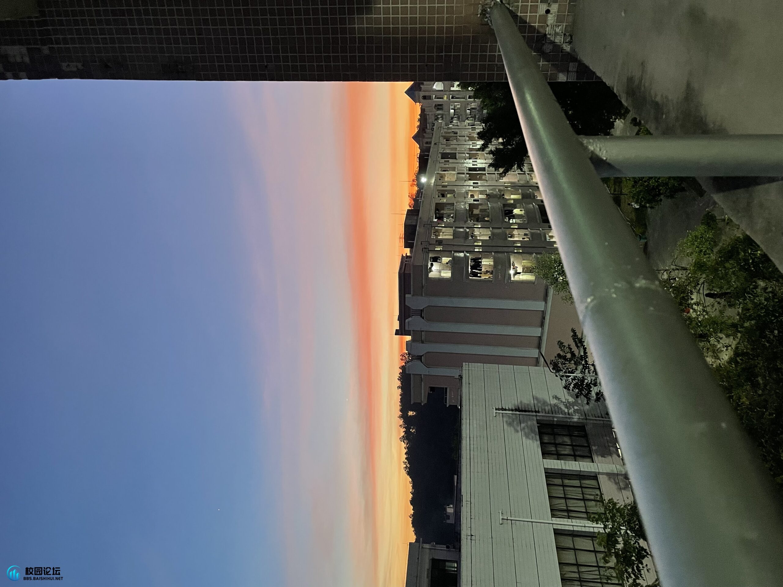 评论图片 - 校园论坛