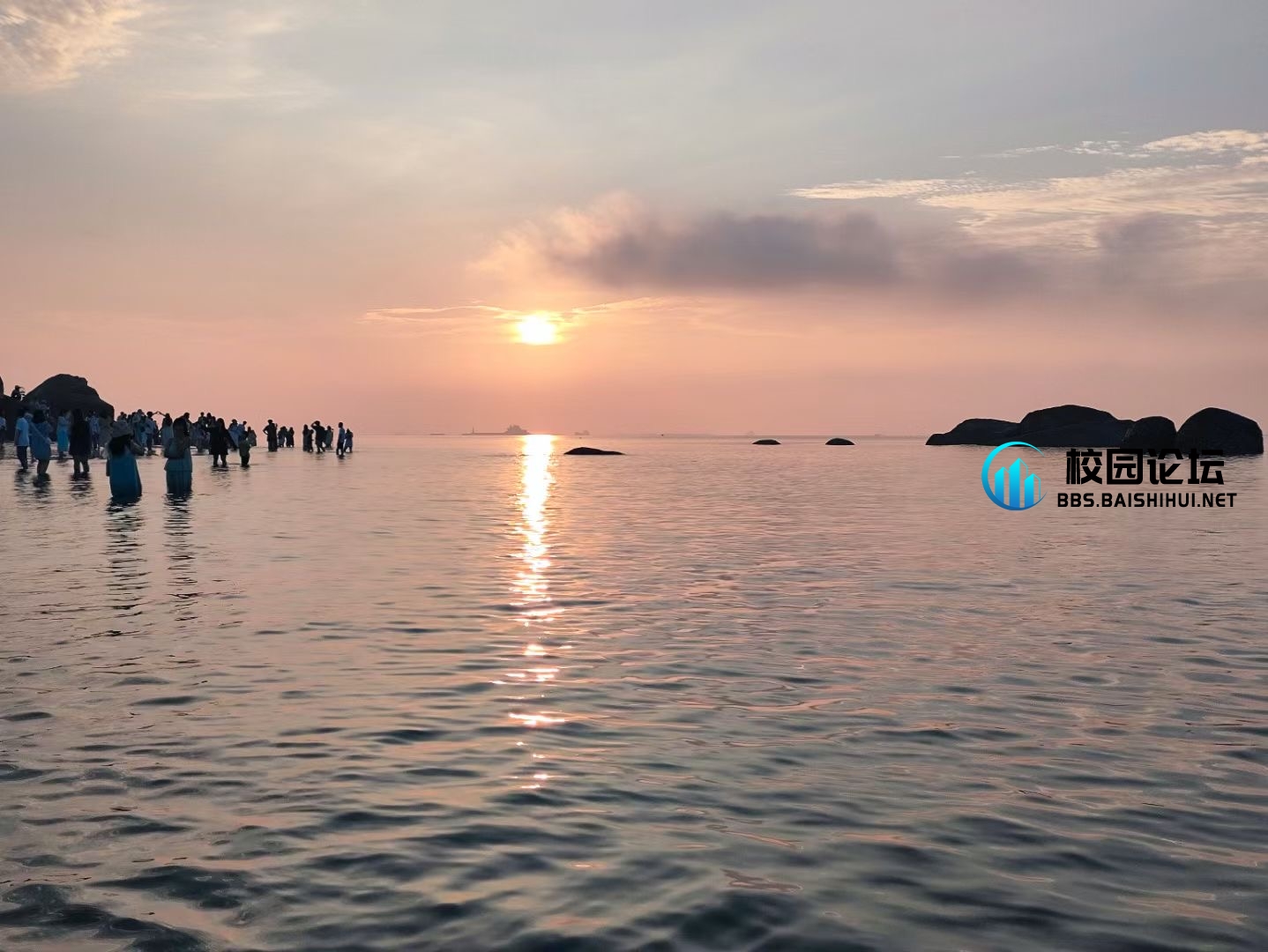 夏亭的头像 - 校园论坛