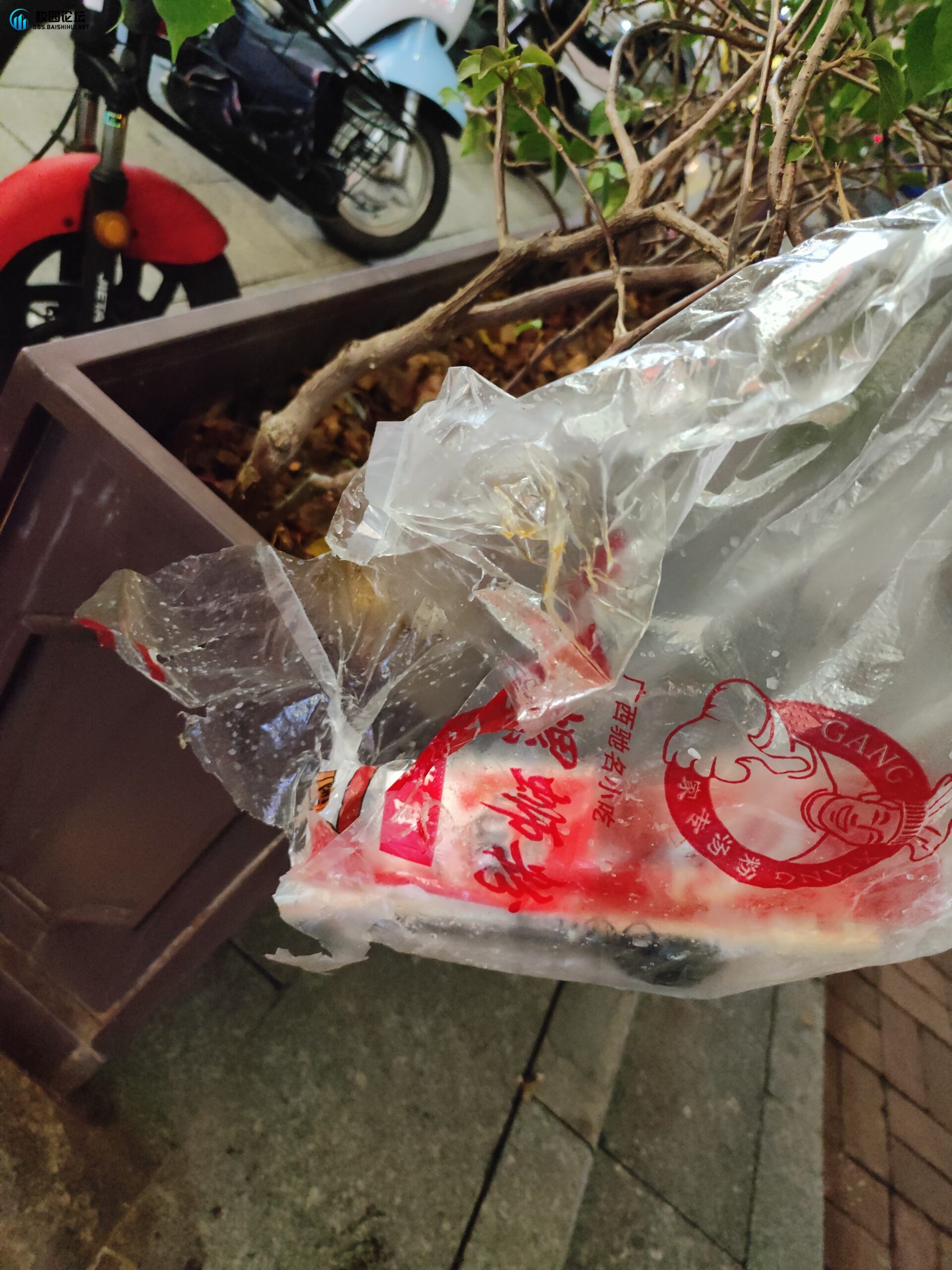 避雷弘宇肥螺哥螺蛳粉哈贝贝们 - 校园论坛