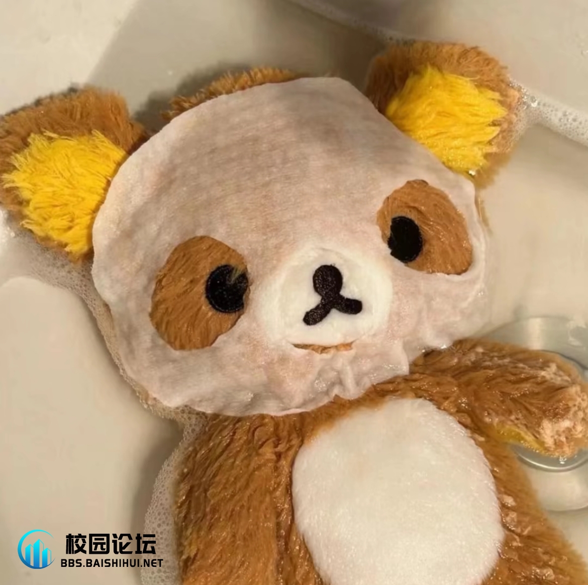 Yuyxx8的头像 - 校园论坛