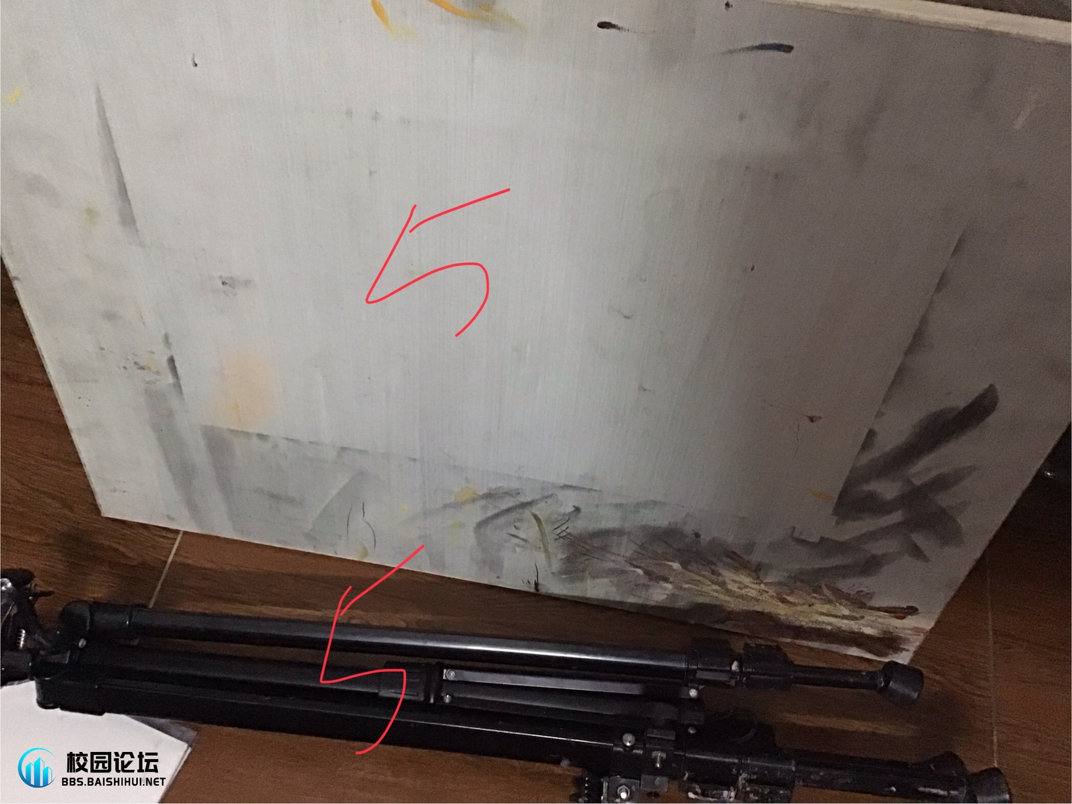 20241201214952822-IMG_1427