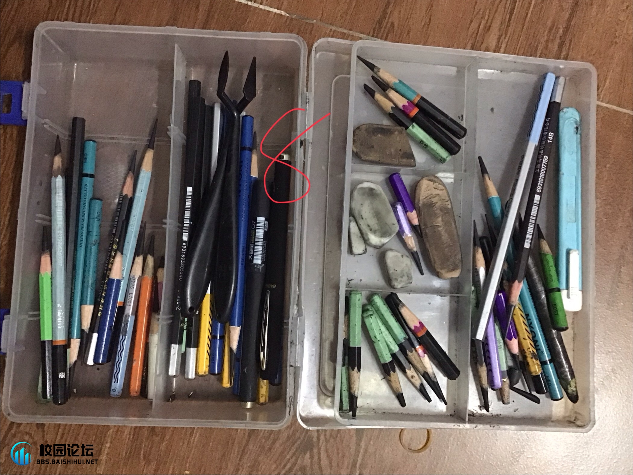 20241201214956984-IMG_1425