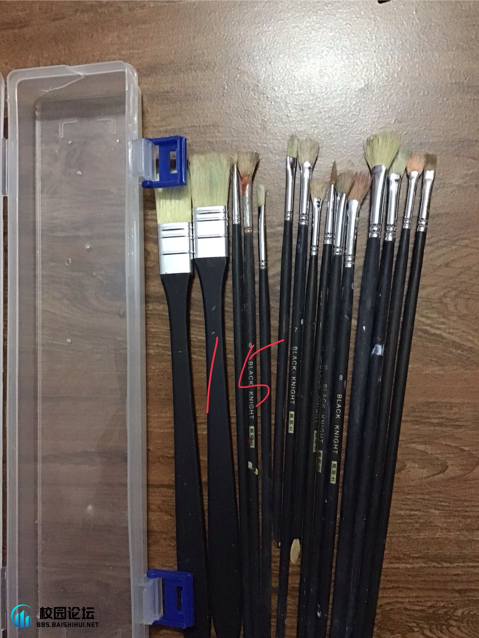 20241201215119906-IMG_1423