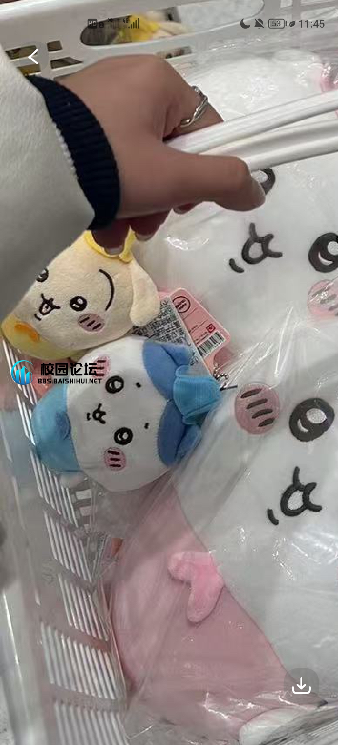 有没有捡到一个小八挂件 - 校园论坛