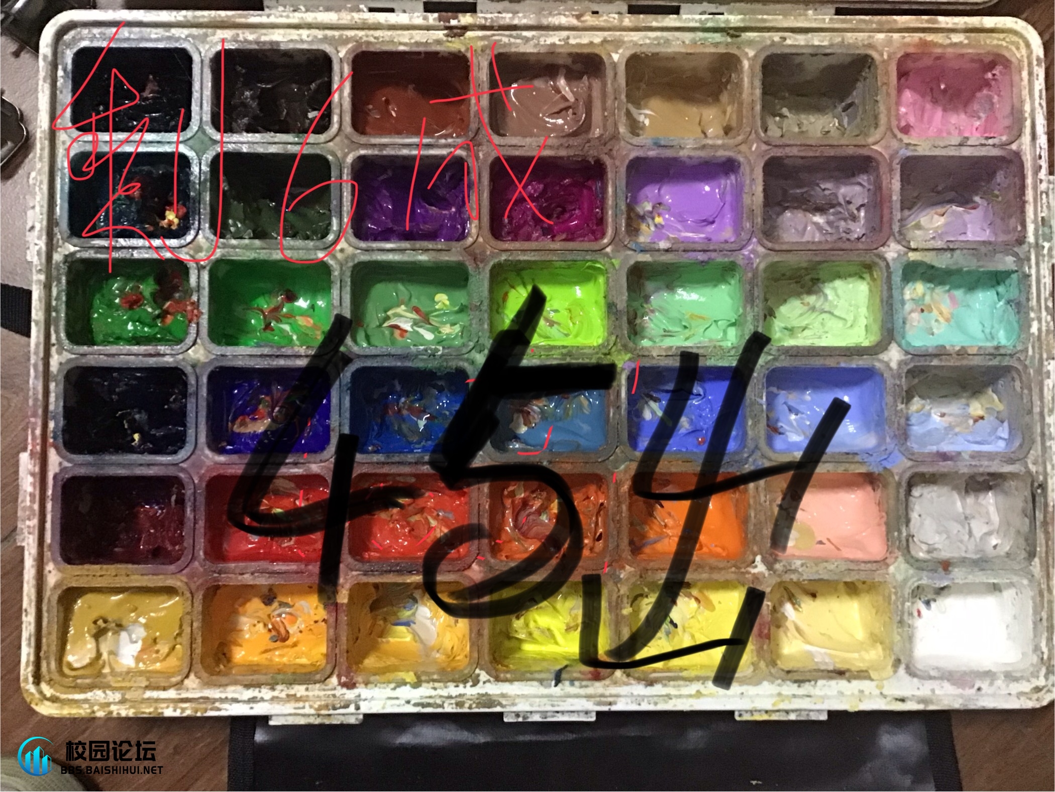 20241202205717465-IMG_1407