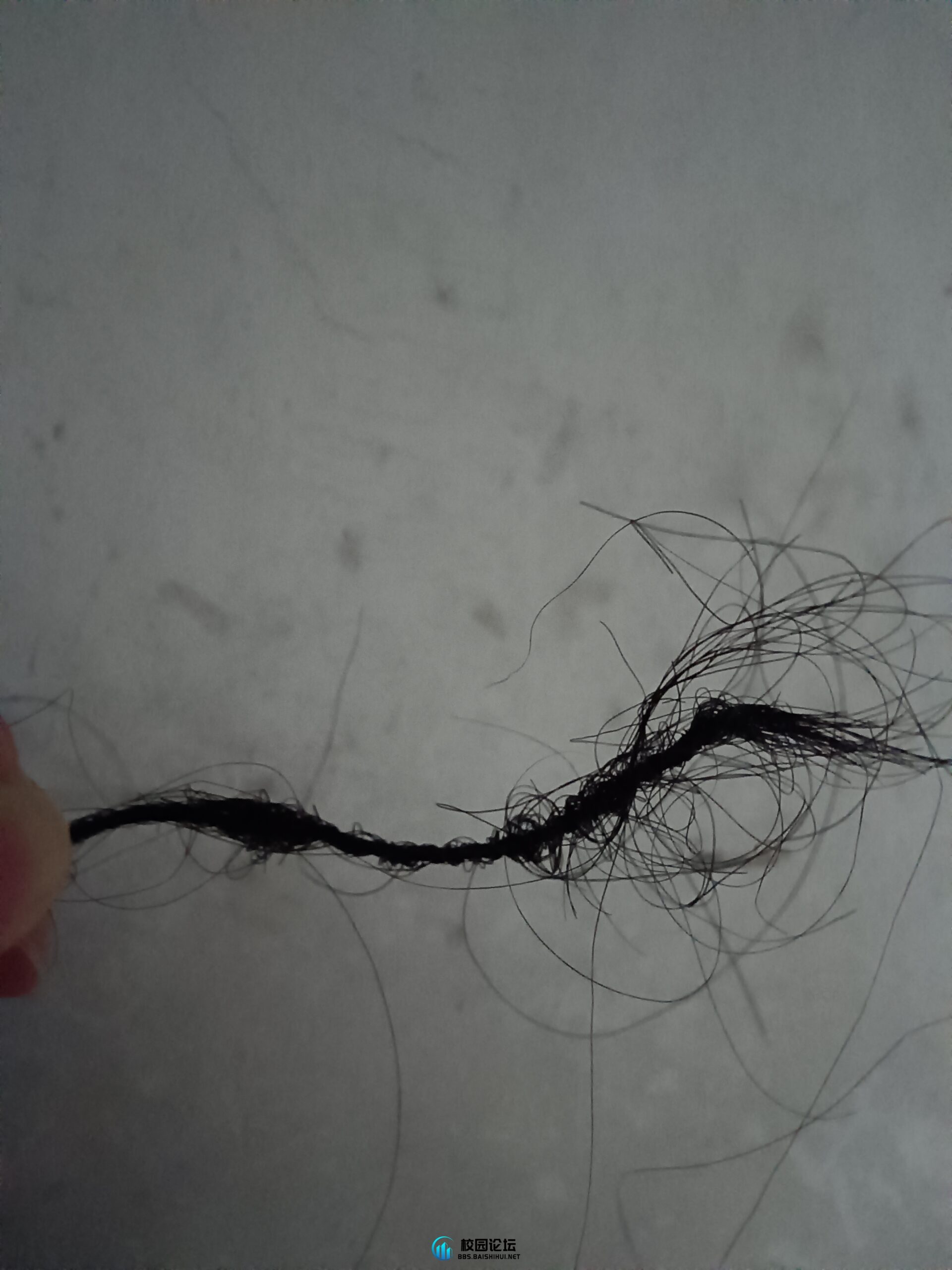 吹头发 - 校园论坛