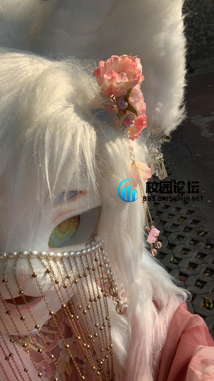 求返图 - 校园论坛