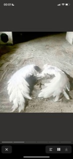 bony的头像 - 校园论坛