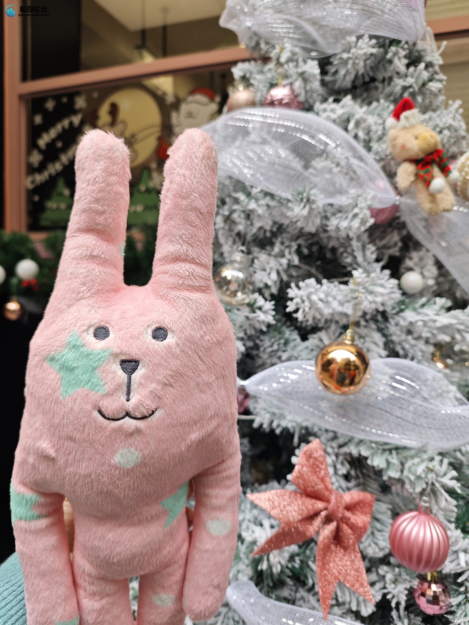 紫鲨的头像 - 校园论坛