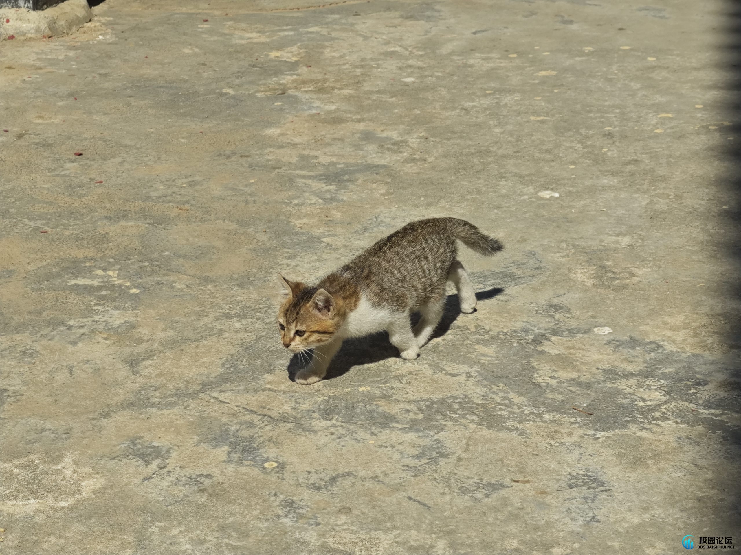 20250215230530475-IMG_20250209_115013