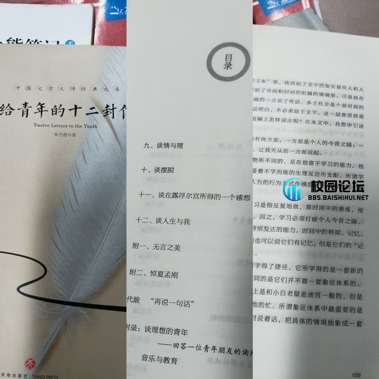 便宜大甩卖 - 校园论坛