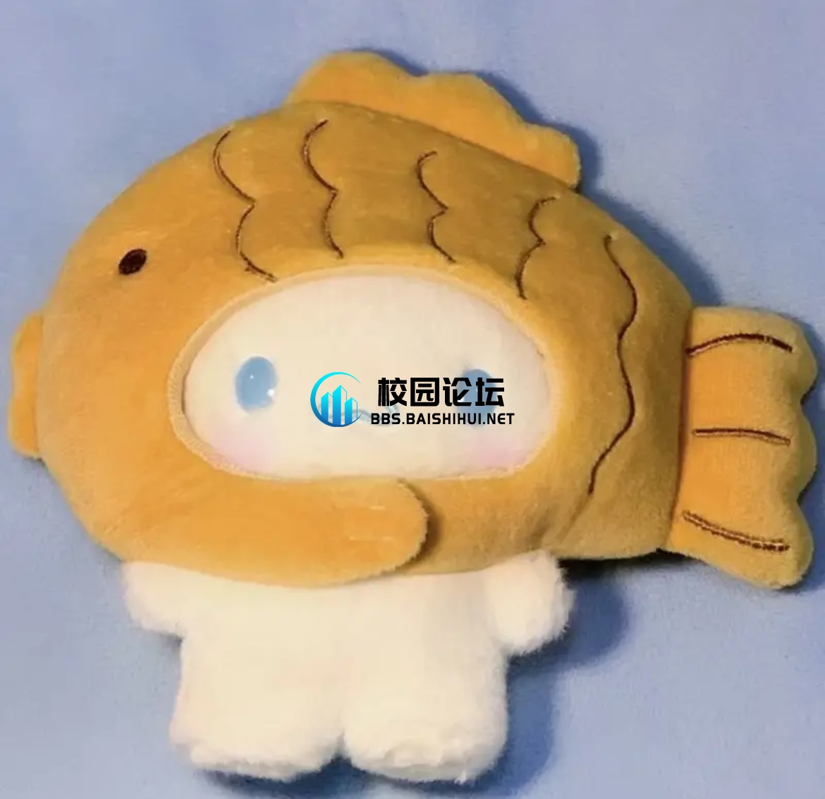 掉了的玉桂狗 - 校园论坛