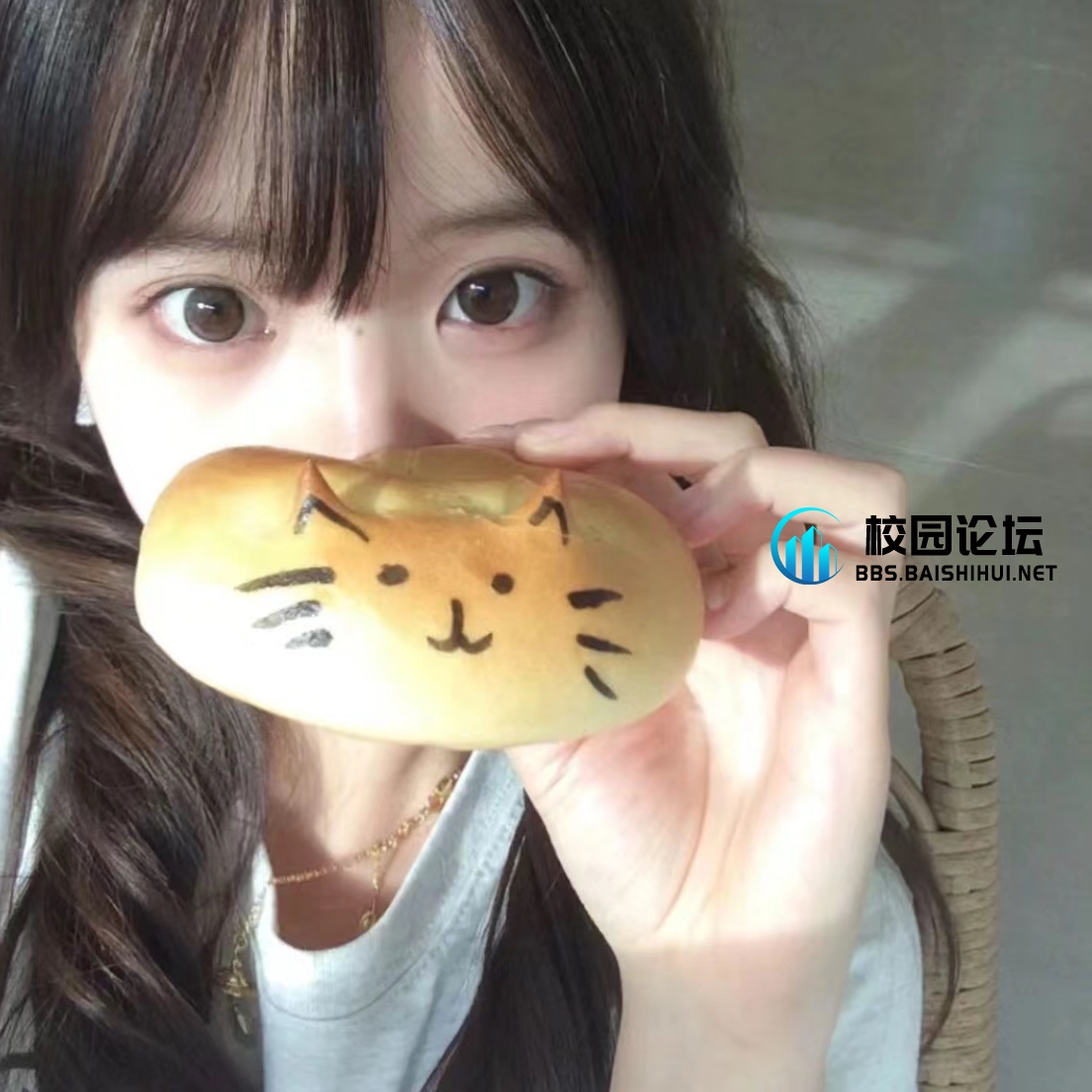 TiAMo的头像 - 校园论坛