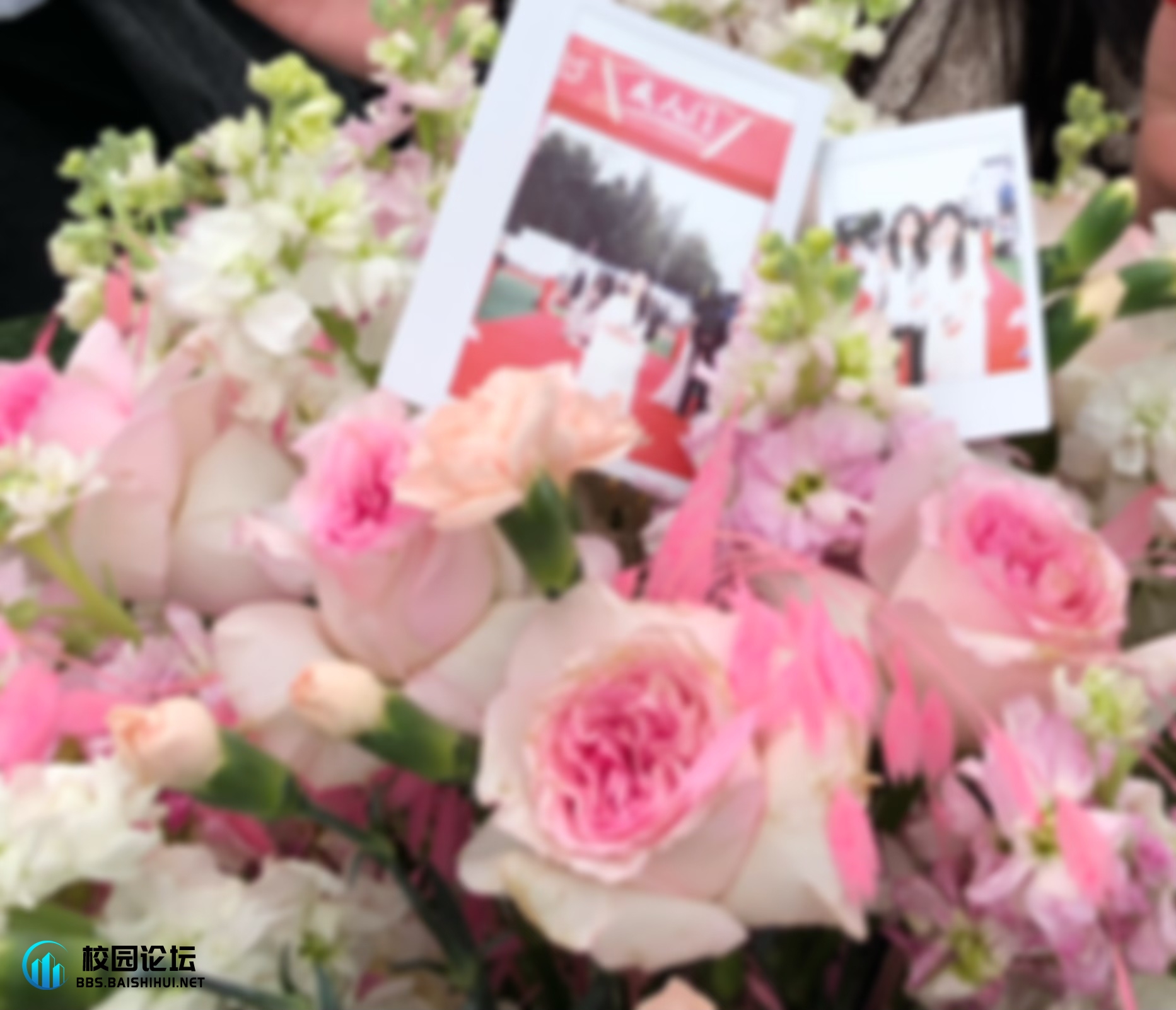 朋友的两张拍立得不见了  横幅➕mini  有捡到vx+YY0221lw谢谢大家 - 校园论坛