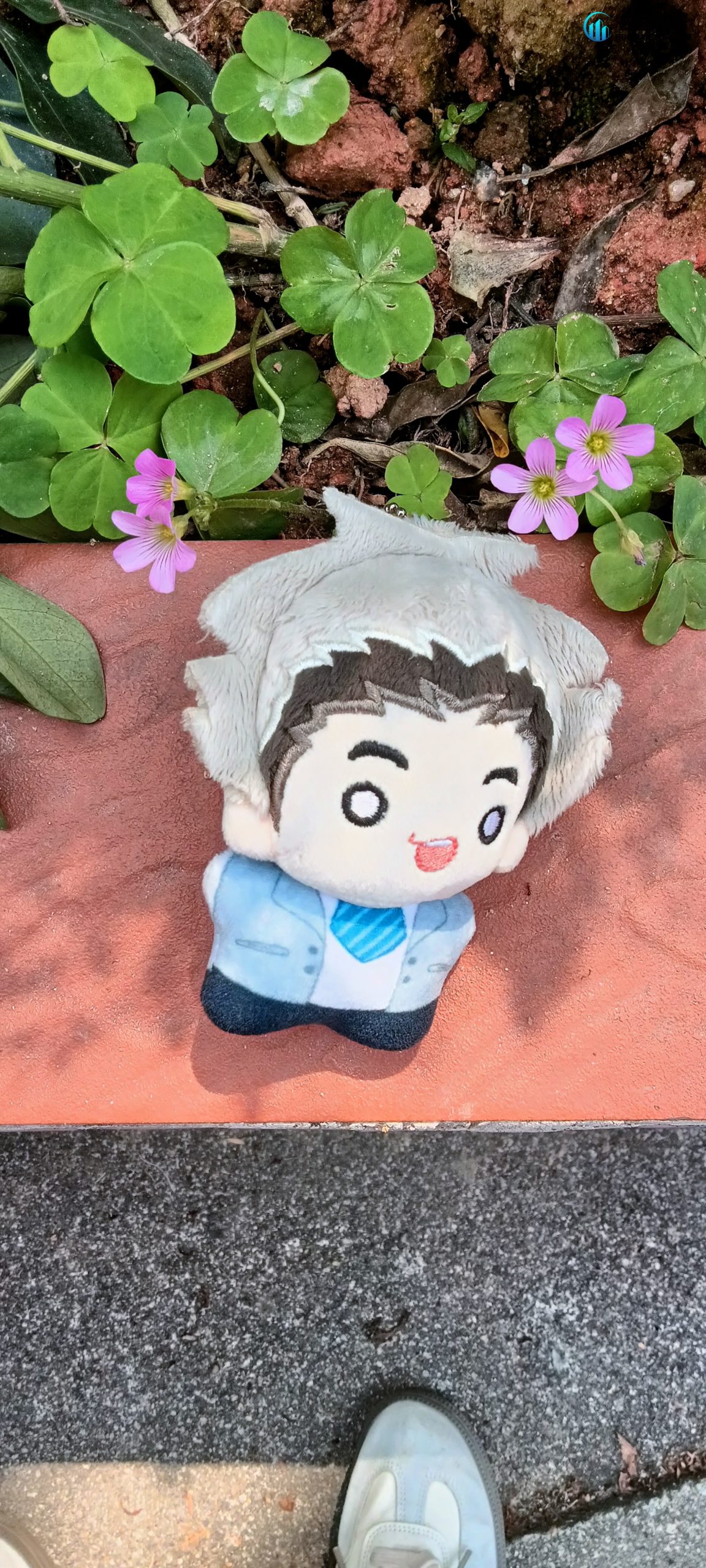 失物招领 - 校园论坛