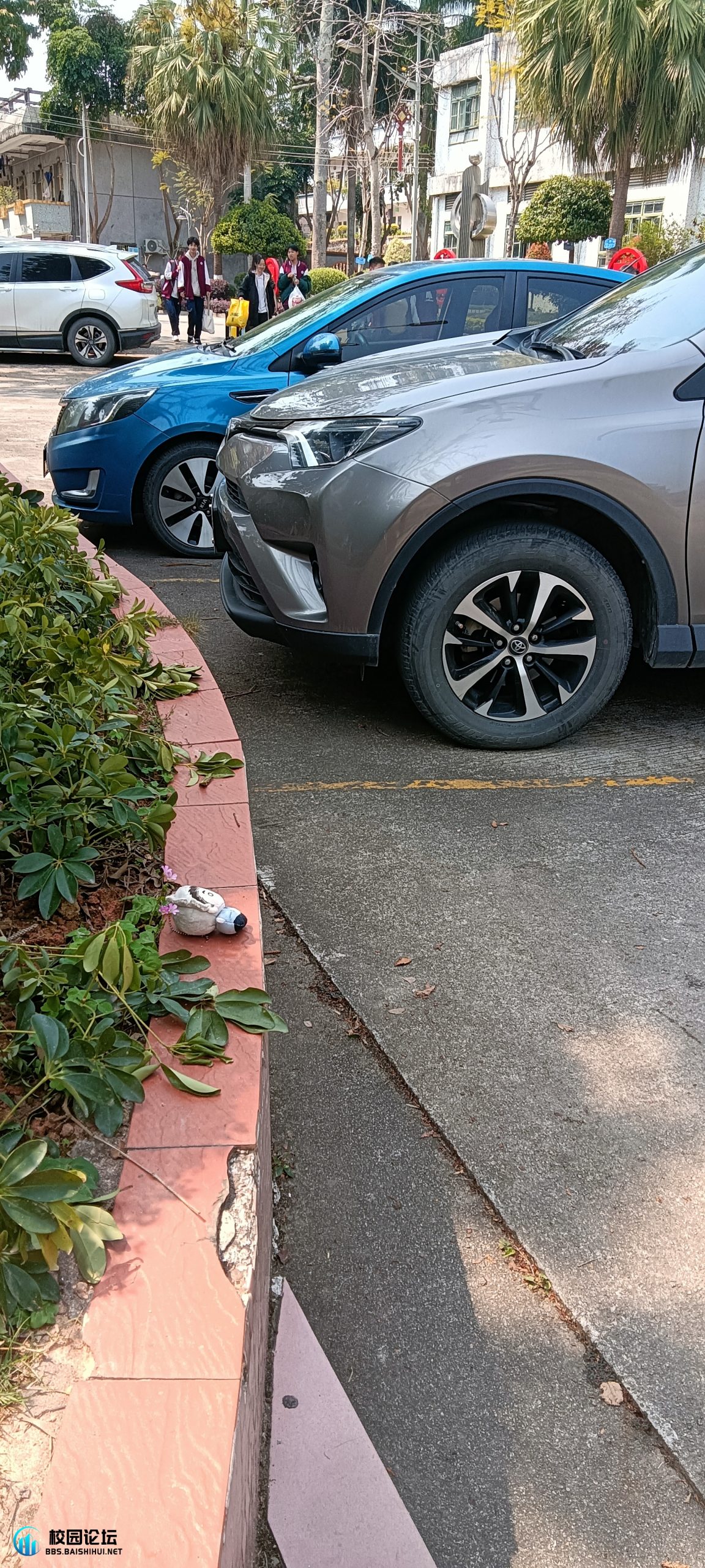 失物招领 - 校园论坛