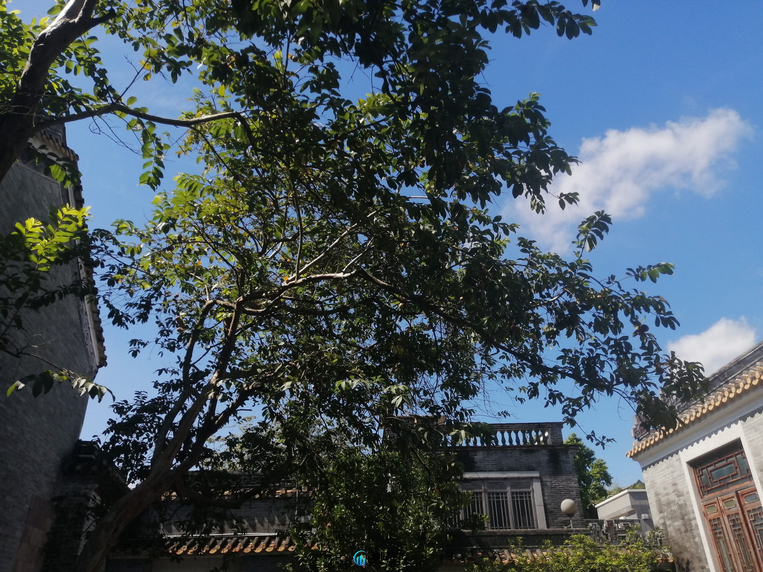 咸鱼翻身的头像 - 校园论坛