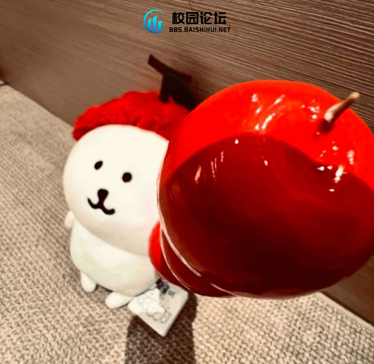 爱吹牛的蛋挞 - 校园论坛