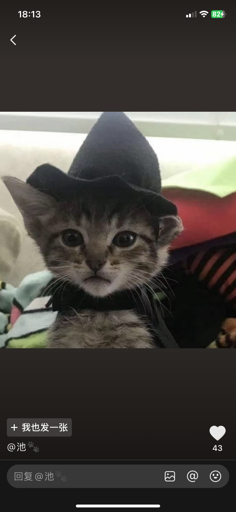 Crrrrr的头像 - 校园论坛