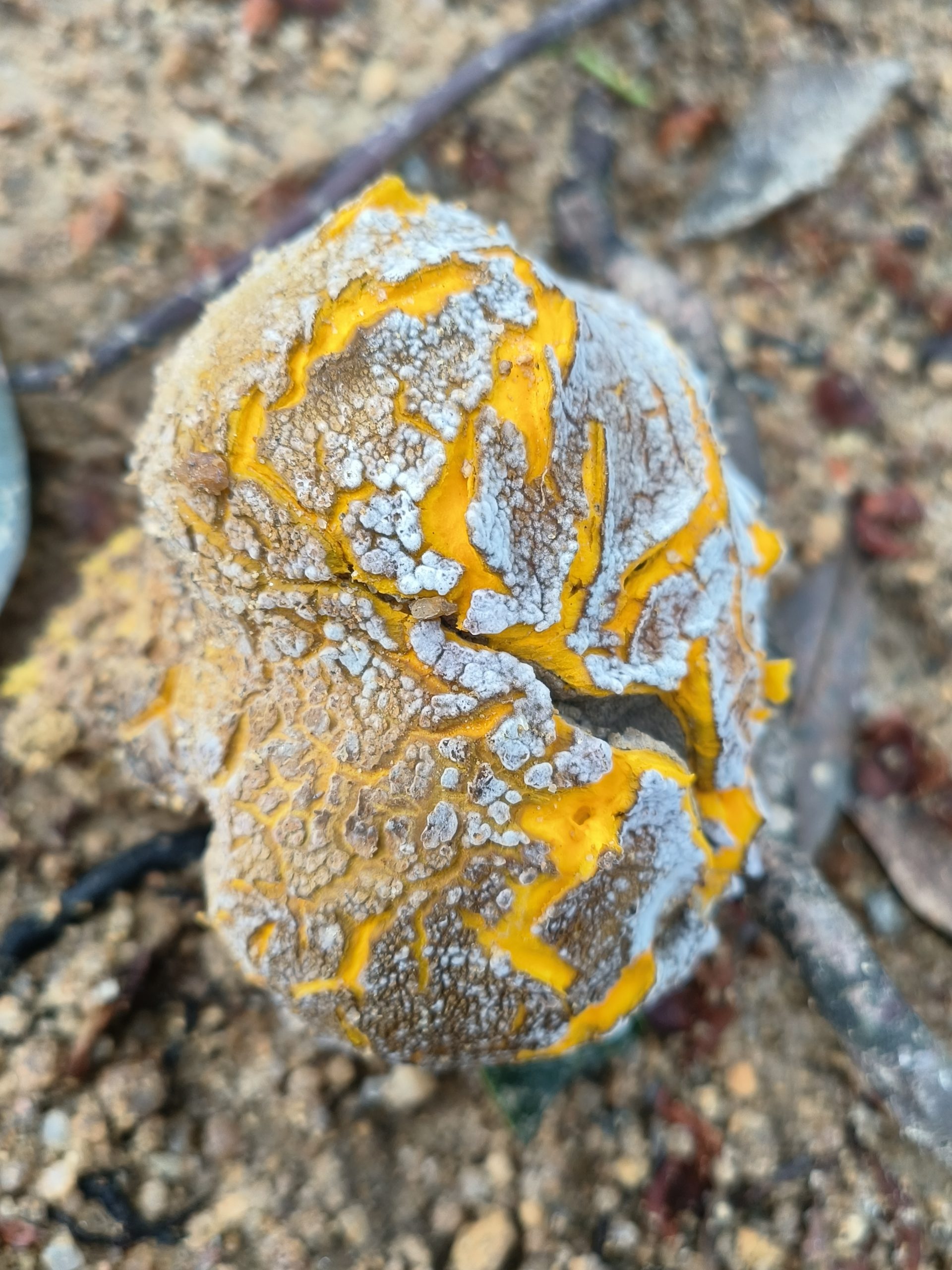 用户67861734的头像 - 校园论坛