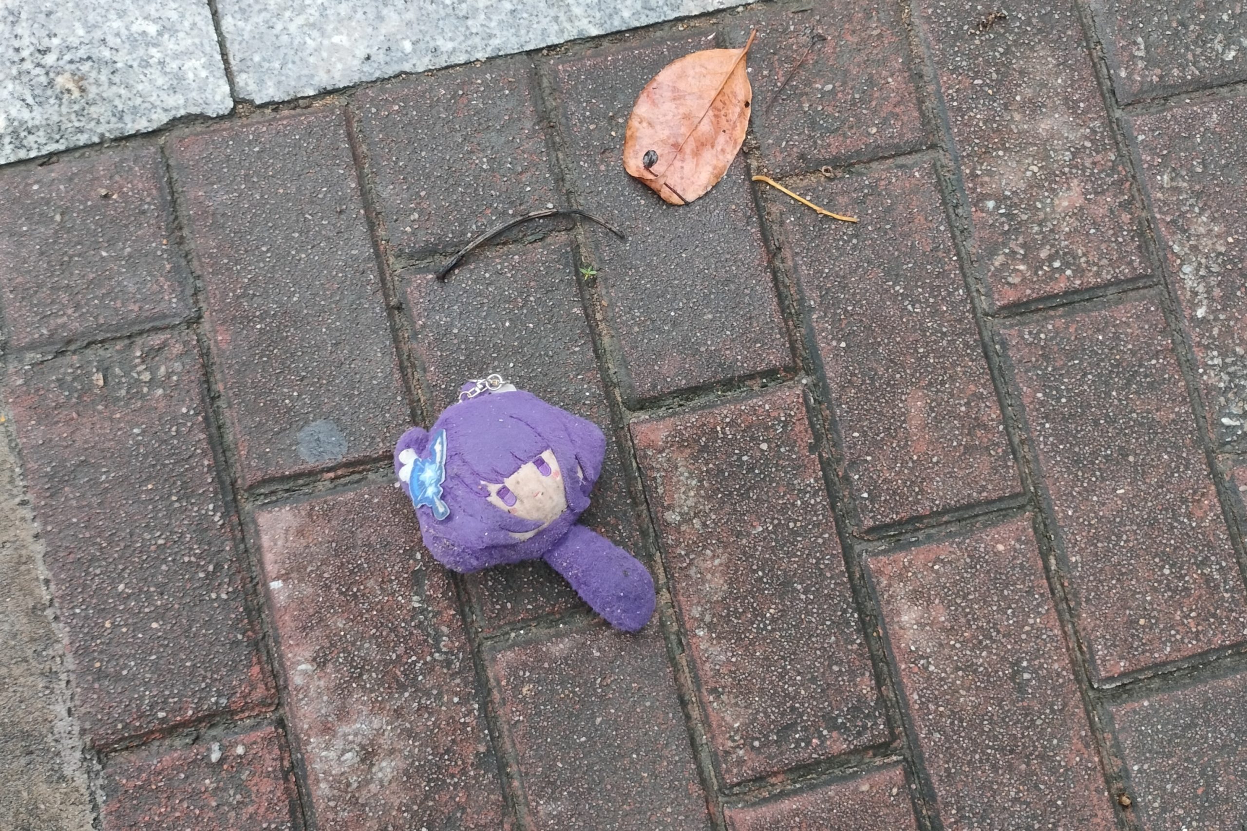 谁的雷神玩偶？ - 校园论坛