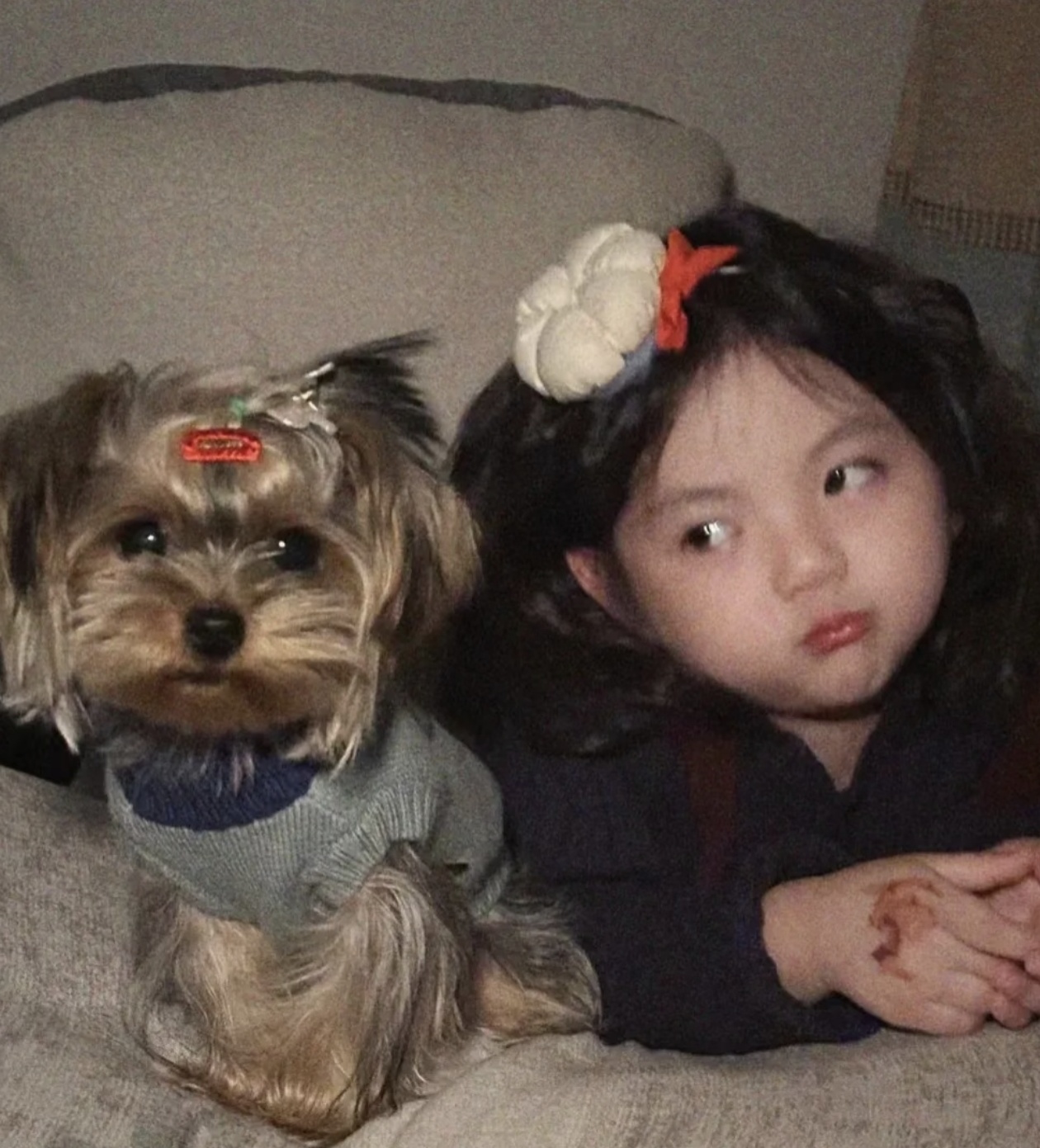 zzzz. - 校园论坛