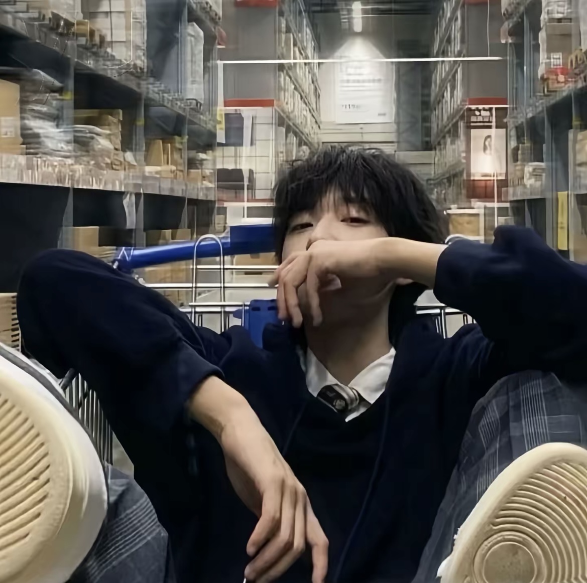 T er r y的头像 - 校园论坛