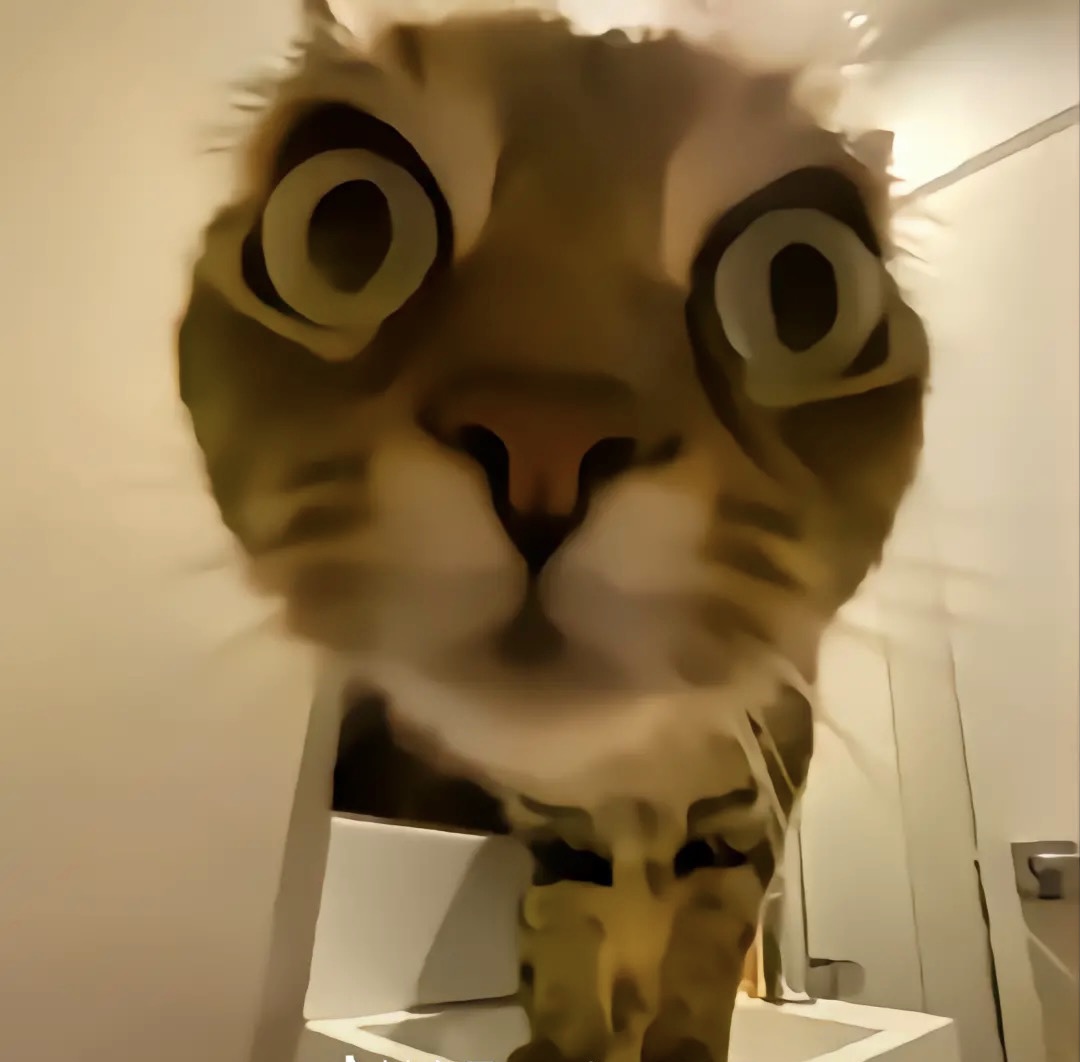 不想说话的头像 - 校园论坛