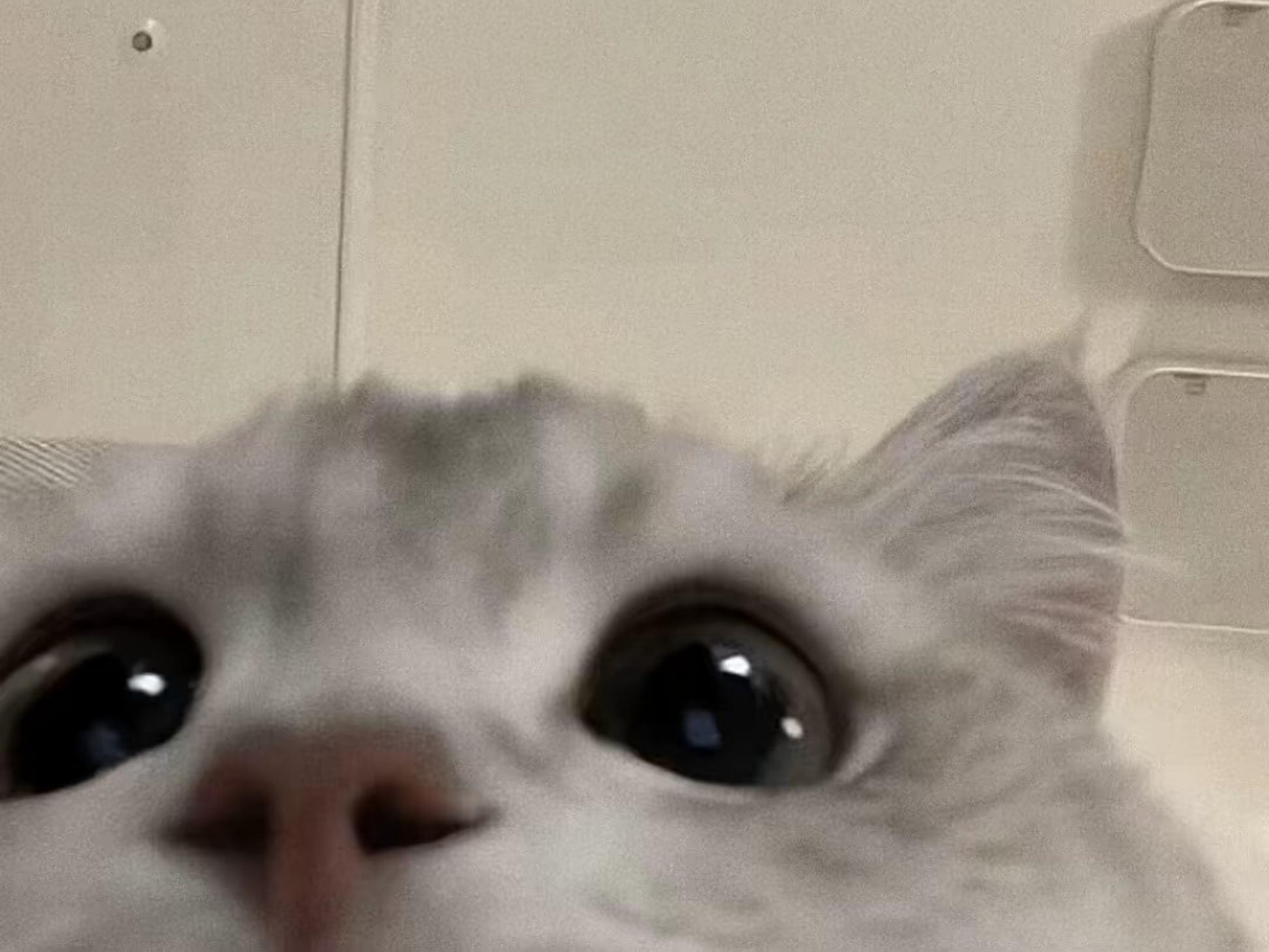 辞年 - 校园论坛