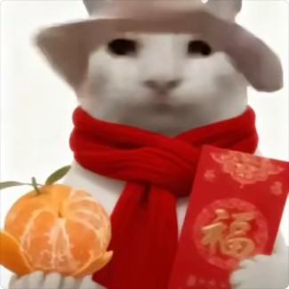 VVBA的头像 - 校园论坛