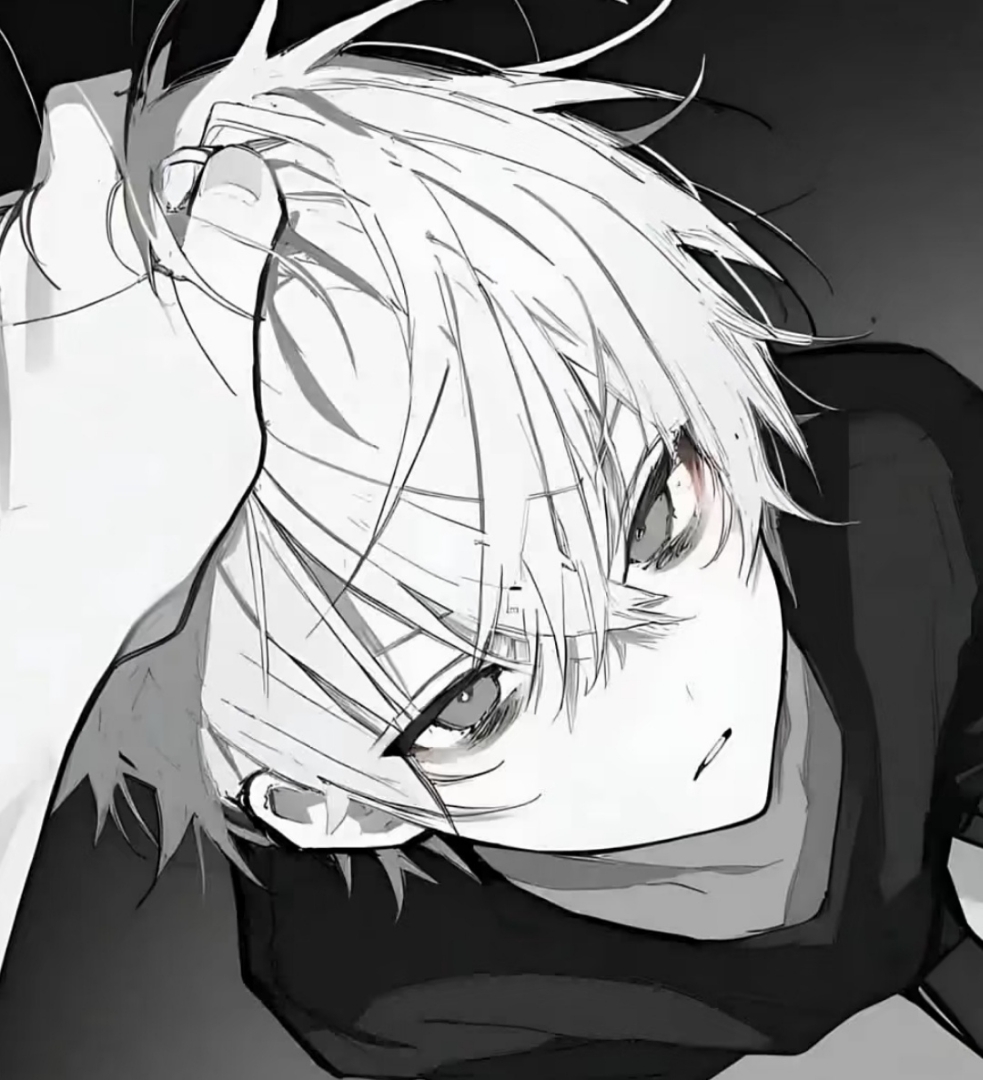 傻瓜白的头像 - 校园论坛