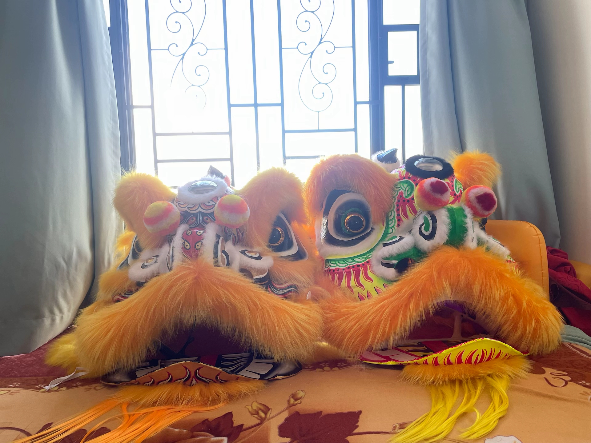 出狼毛狮头有意私CoeC-June164 - 校园论坛