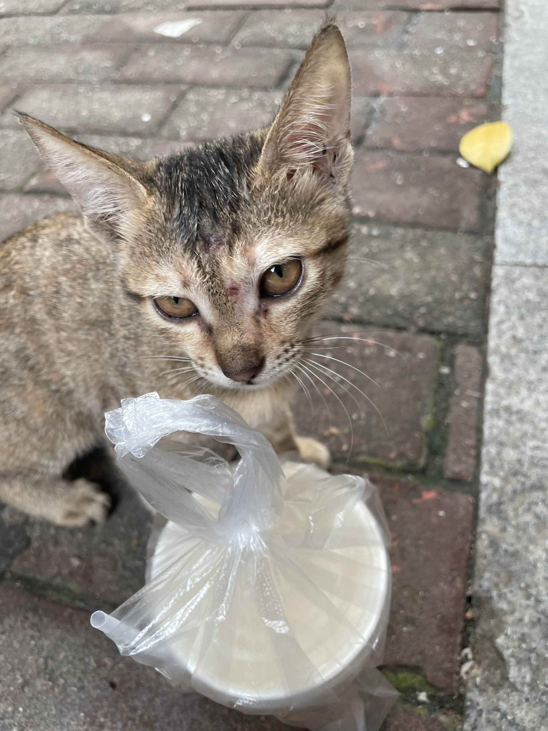 阿拉吧的头像 - 校园论坛