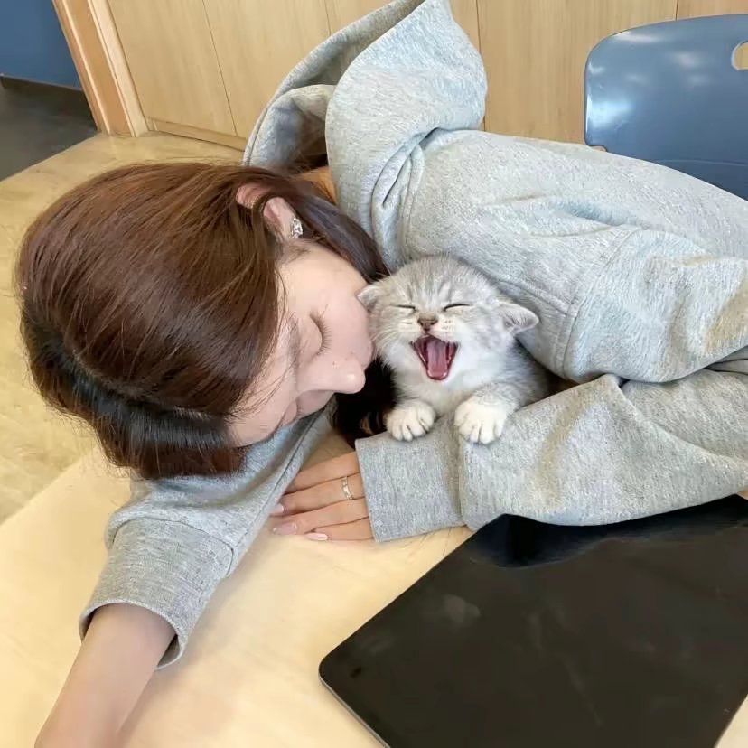 讨厌菠萝冰美式的头像 - 校园论坛