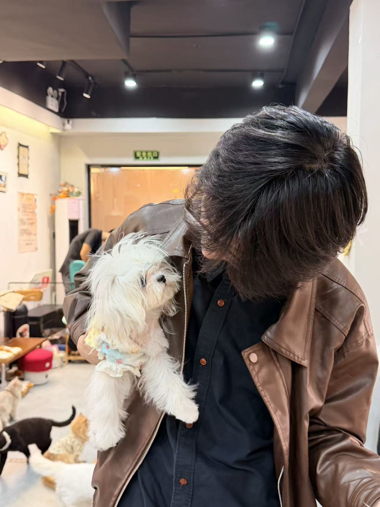 法克不会斯.的头像 - 校园论坛