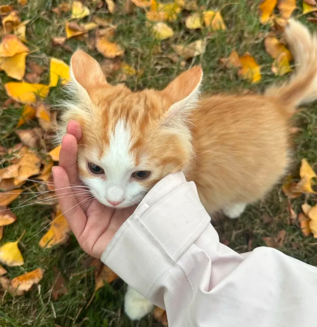 Li009的头像 - 校园论坛