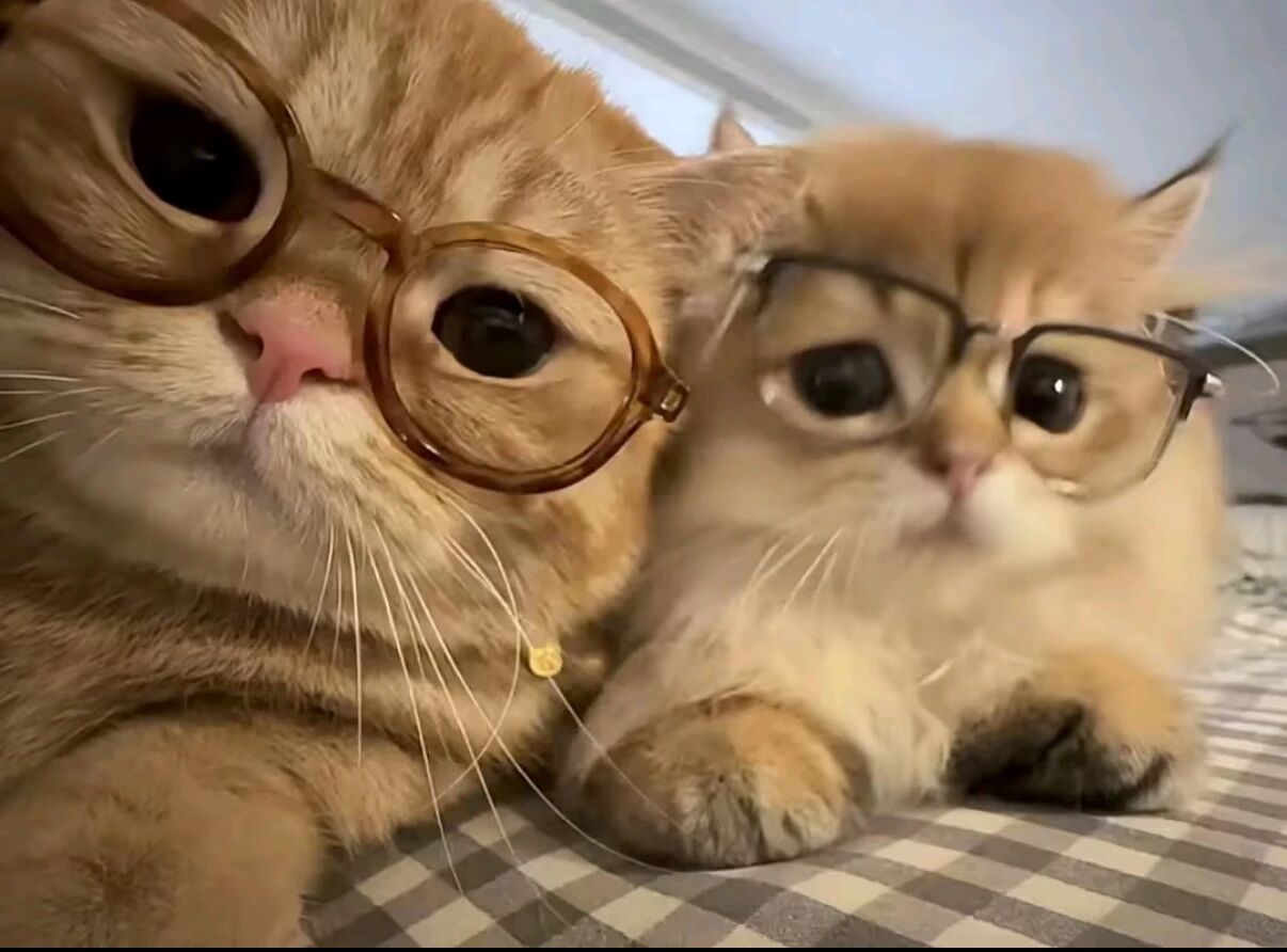 要抱抱的梧桐.的头像 - 校园论坛