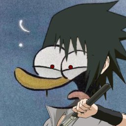 不知名的头像 - 校园论坛