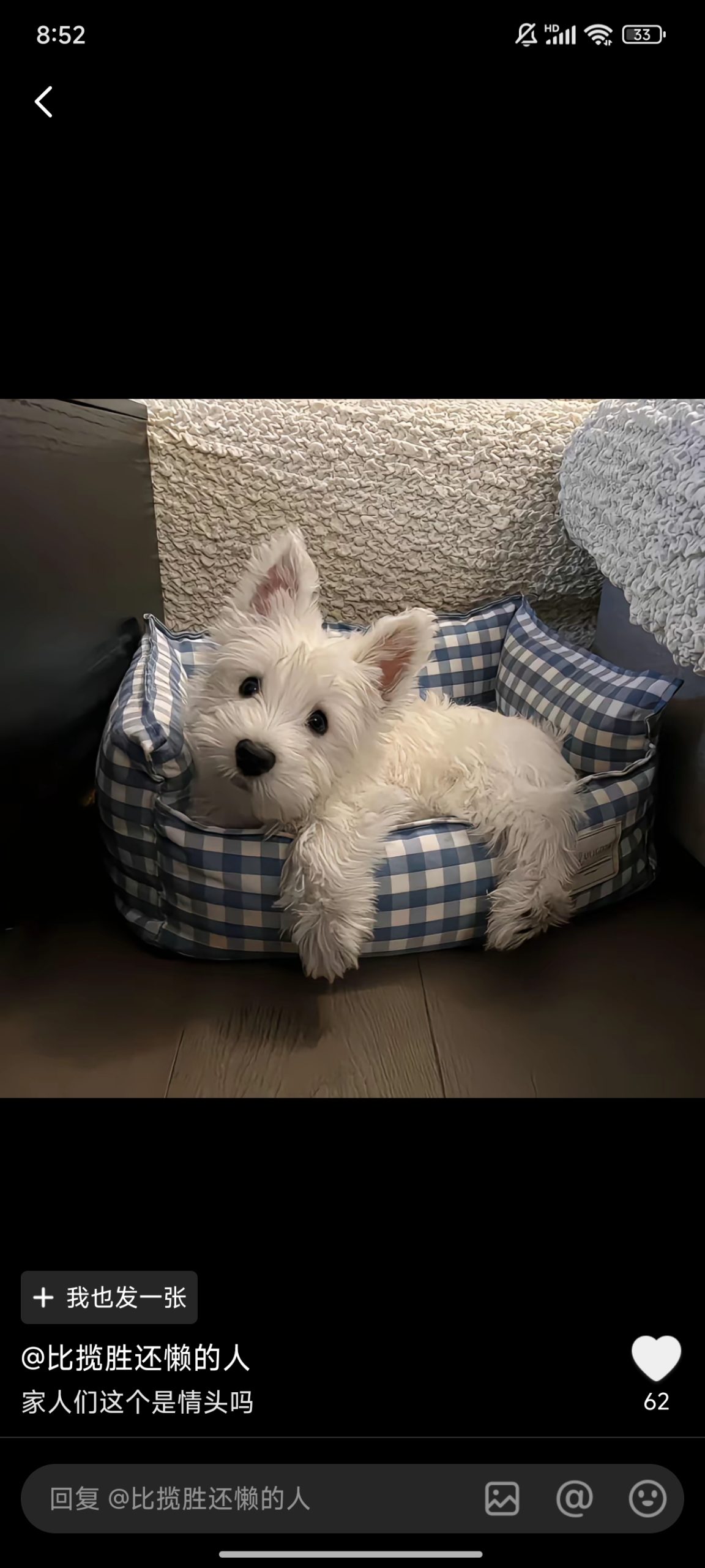 爱吃蛋炒饭的头像 - 校园论坛