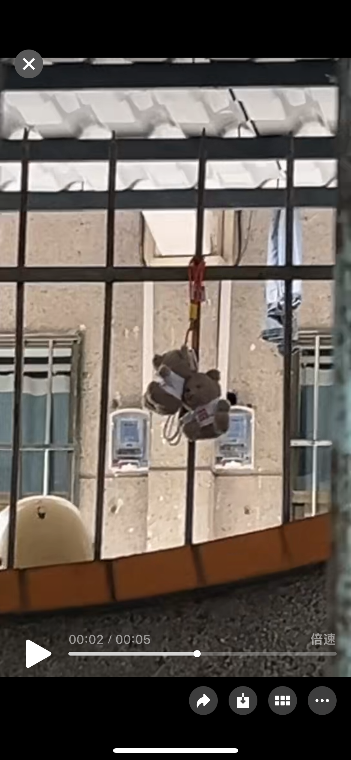 谁把我公仔顺走了！明天前放回原处！！！ - 校园论坛