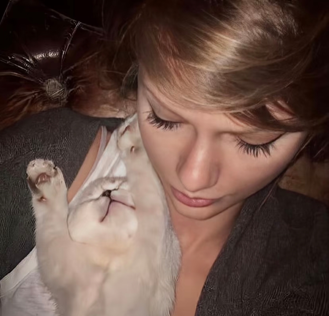 majgsjd的头像 - 校园论坛