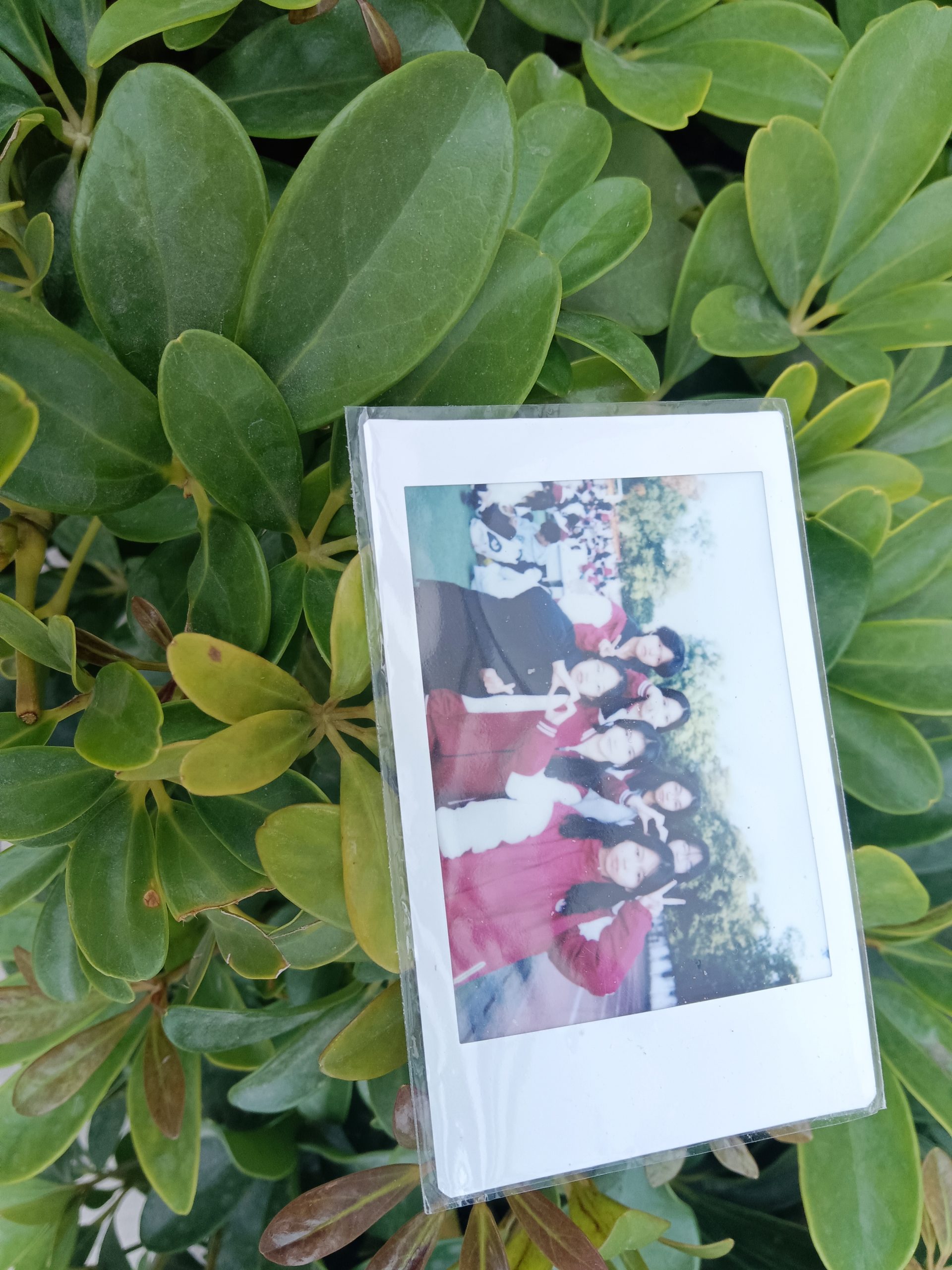 谁的拍立得？ - 校园论坛