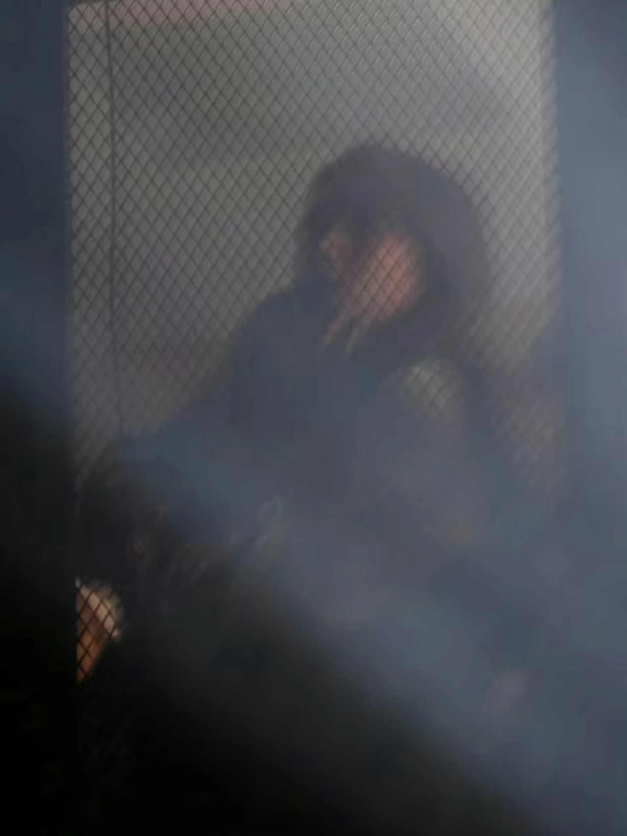 驪靏的头像 - 校园论坛