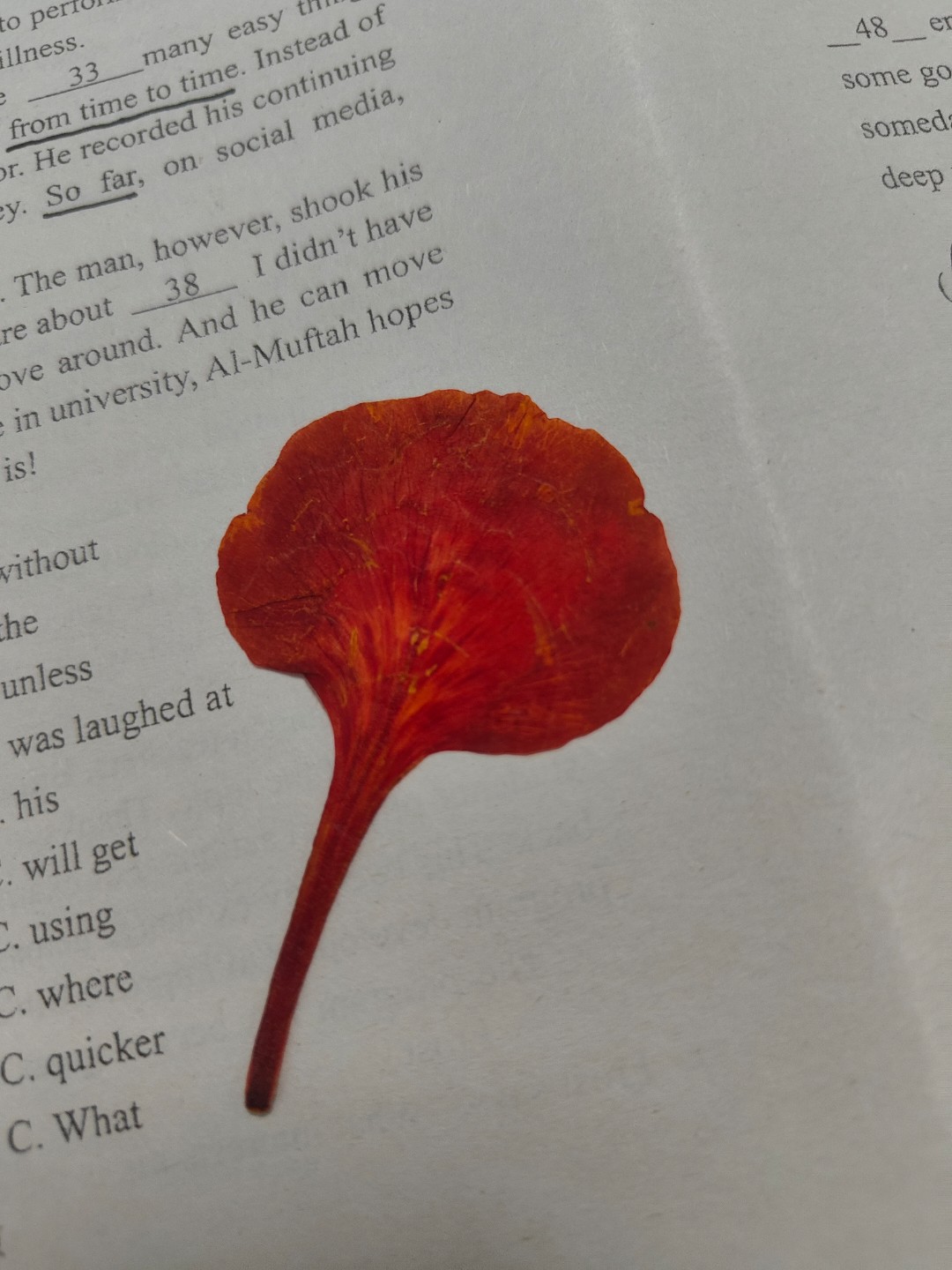 bye的头像 - 校园论坛