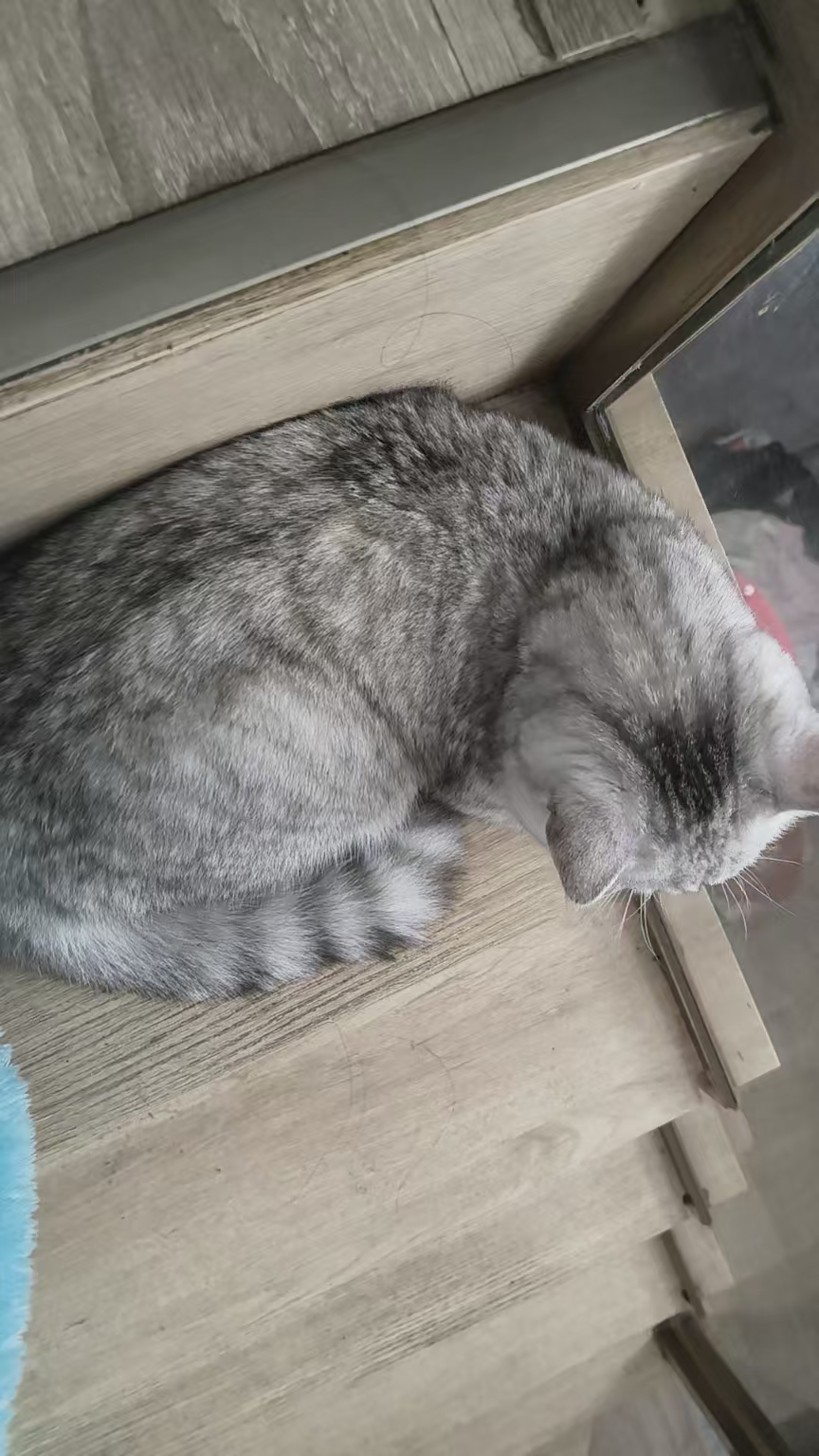 20260331084805470-mmexport1774916205918